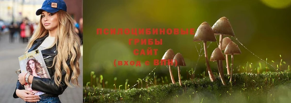 синтетический гашиш Алексеевка