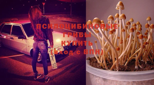 ГАЛЛЮЦИНОГЕННЫЕ ГРИБЫ Алексин