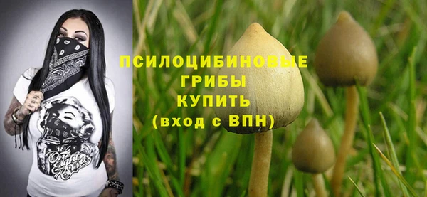 ГАЛЛЮЦИНОГЕННЫЕ ГРИБЫ Алексин