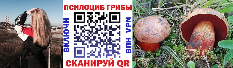 как найти закладки  Черемхово  Галлюциногенные грибы Cubensis 