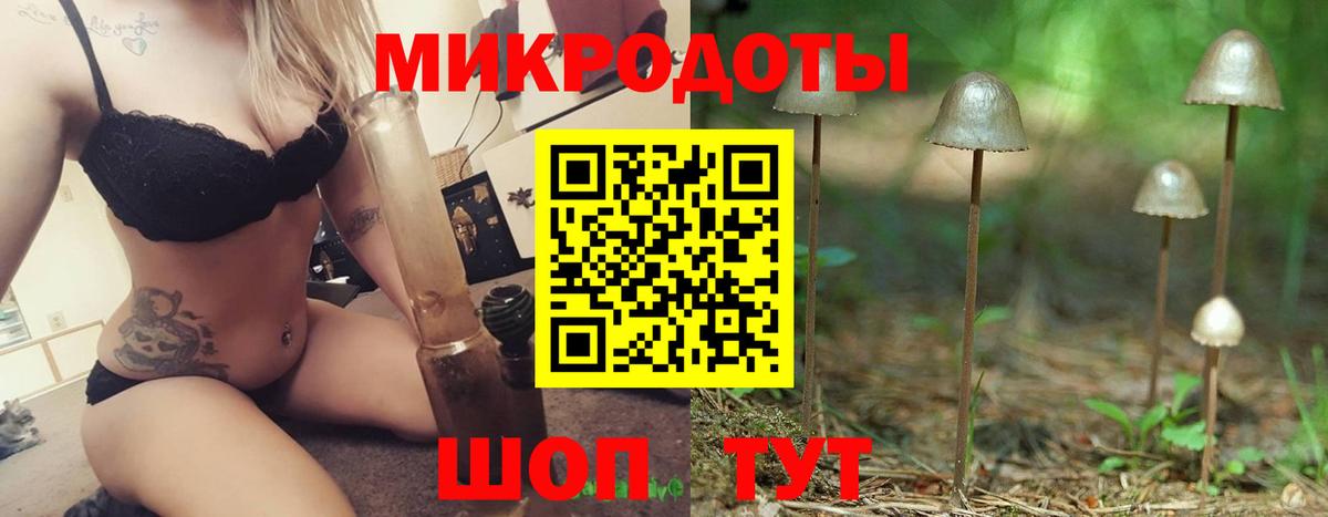 Псилоцибиновые грибы Cubensis Черемхово